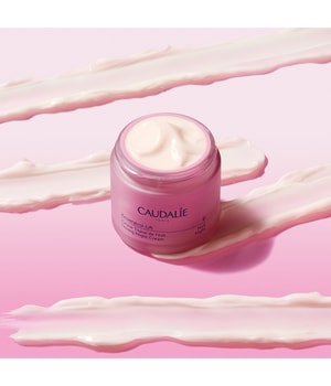 RESVERATROL LIFT CREME NUIT 50ML